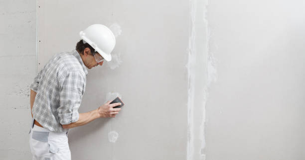 Best Wallpaper Removal and Painting  in Bradford, OH